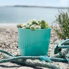 recycled plant pot
